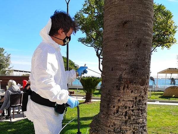 Applicazione-endoterapia-anti-infestazione