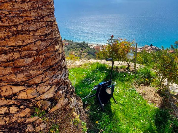 Applicazione-sistema-treecare-protezione-palme-ornamentali